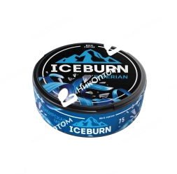 ICEBURN - SIBERIAN - Сибирская Мята (75mg)